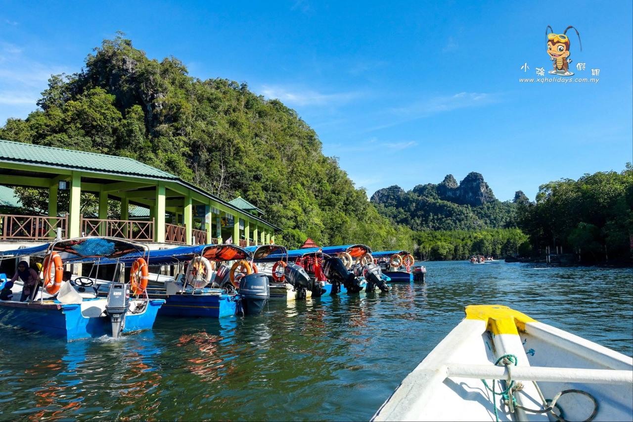 Mangrove Tour Langkawi: Jelajahi Ekosistem Pesisir yang Memukau